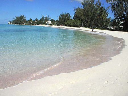 Shemales in barbados Michael gross gay